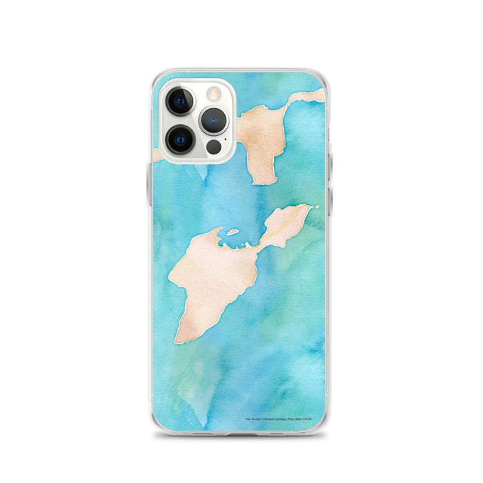Custom iPhone 12 Pro South Bass Island Ohio Map Phone Case in Watercolor