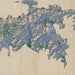 St. John U.S. Virgin Islands Map Print in Afternoon Style Zoomed In Close Up Showing Details