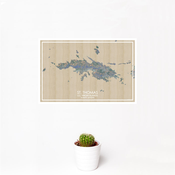 12x18 St. Thomas U.S. Virgin Islands Map Print Landscape Orientation in Afternoon Style With Small Cactus Plant in White Planter