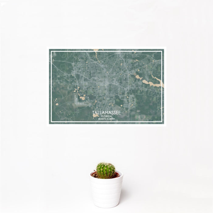 12x18 Tallahassee Florida Map Print Landscape Orientation in Afternoon Style With Small Cactus Plant in White Planter