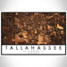 Tallahassee Florida Map Print Landscape Orientation in Ember Style With Shaded Background