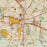 Tallahassee Florida Map Print in Woodblock Style Zoomed In Close Up Showing Details