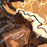 Tallulah Falls Georgia Map Print in Ember Style Zoomed In Close Up Showing Details