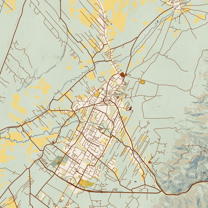 Taos New Mexico Map Print in Woodblock Style Zoomed In Close Up Showing Details