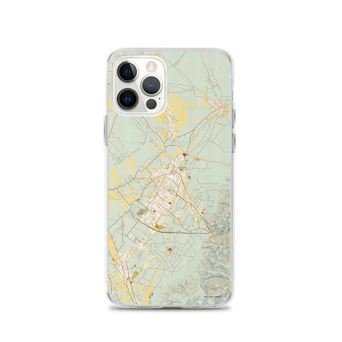 Custom iPhone 12 Pro Taos New Mexico Map Phone Case in Woodblock