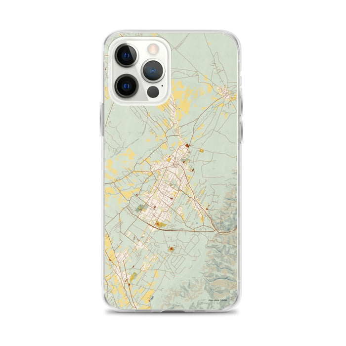 Custom iPhone 12 Pro Max Taos New Mexico Map Phone Case in Woodblock