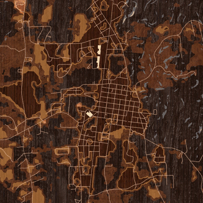 Thomasville Alabama Map Print in Ember Style Zoomed In Close Up Showing Details