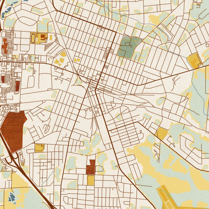 Tifton Georgia Map Print in Woodblock Style Zoomed In Close Up Showing Details