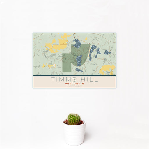 12x18 Timms Hill Wisconsin Map Print Landscape Orientation in Woodblock Style With Small Cactus Plant in White Planter