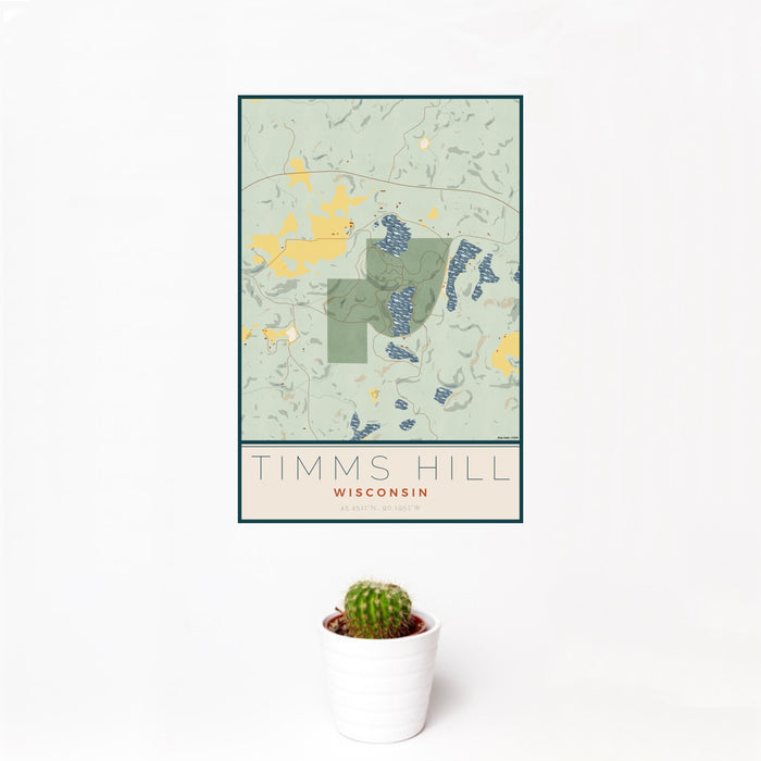 12x18 Timms Hill Wisconsin Map Print Portrait Orientation in Woodblock Style With Small Cactus Plant in White Planter