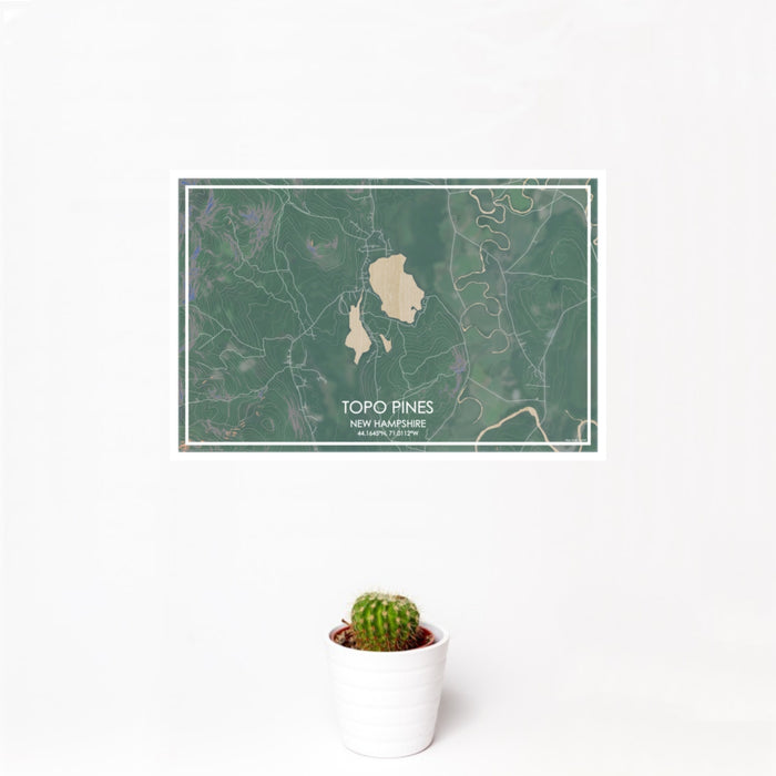 12x18 Topo Pines New Hampshire Map Print Landscape Orientation in Afternoon Style With Small Cactus Plant in White Planter