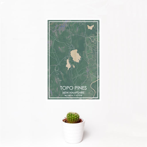 12x18 Topo Pines New Hampshire Map Print Portrait Orientation in Afternoon Style With Small Cactus Plant in White Planter