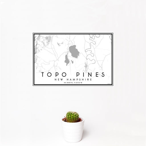 12x18 Topo Pines New Hampshire Map Print Landscape Orientation in Classic Style With Small Cactus Plant in White Planter