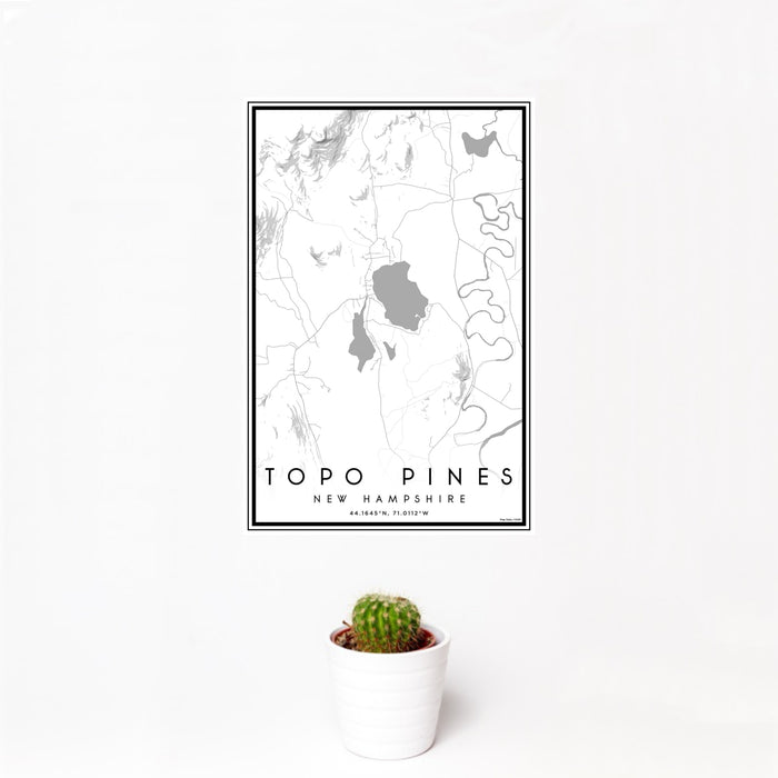 12x18 Topo Pines New Hampshire Map Print Portrait Orientation in Classic Style With Small Cactus Plant in White Planter