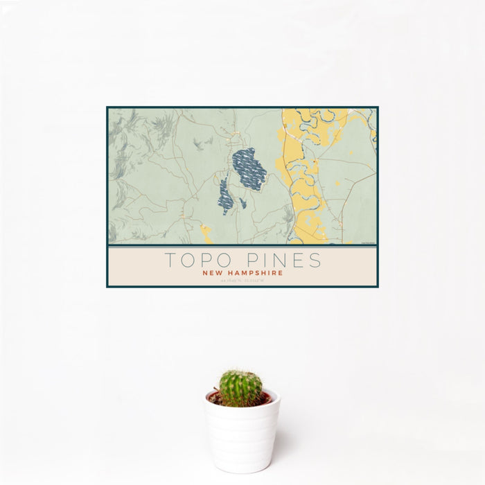 12x18 Topo Pines New Hampshire Map Print Landscape Orientation in Woodblock Style With Small Cactus Plant in White Planter