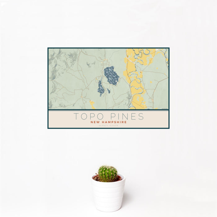 12x18 Topo Pines New Hampshire Map Print Landscape Orientation in Woodblock Style With Small Cactus Plant in White Planter