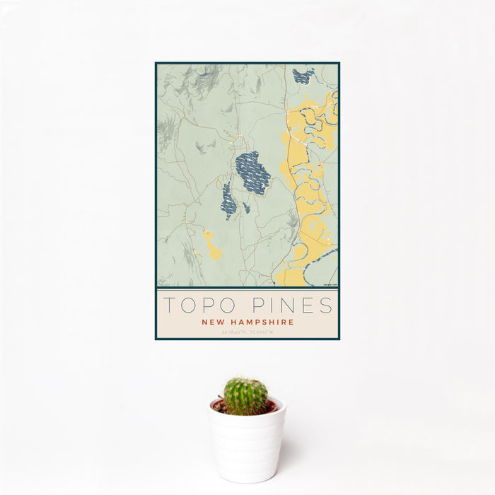 12x18 Topo Pines New Hampshire Map Print Portrait Orientation in Woodblock Style With Small Cactus Plant in White Planter