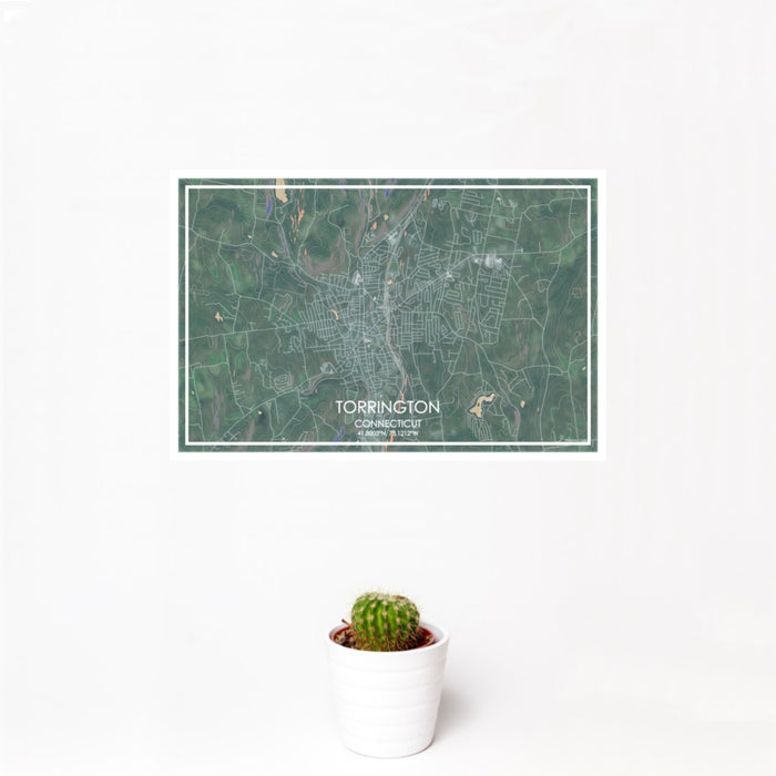 12x18 Torrington Connecticut Map Print Landscape Orientation in Afternoon Style With Small Cactus Plant in White Planter