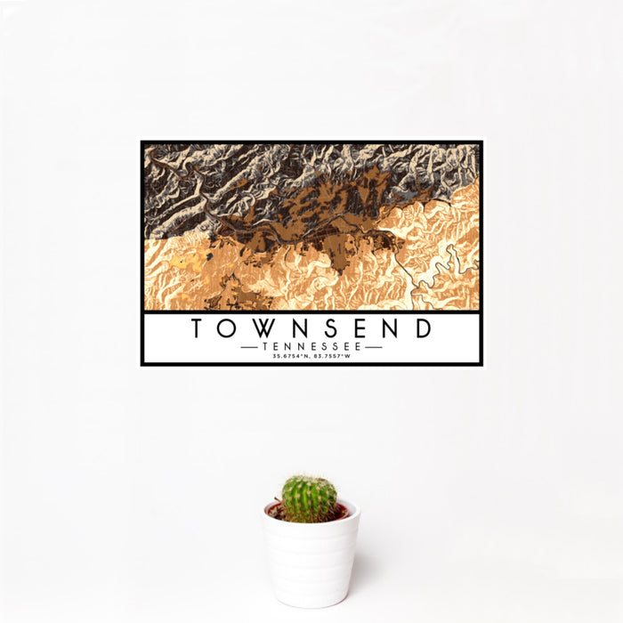 12x18 Townsend Tennessee Map Print Landscape Orientation in Ember Style With Small Cactus Plant in White Planter