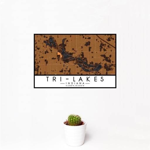 12x18 Tri-Lakes Indiana Map Print Landscape Orientation in Ember Style With Small Cactus Plant in White Planter