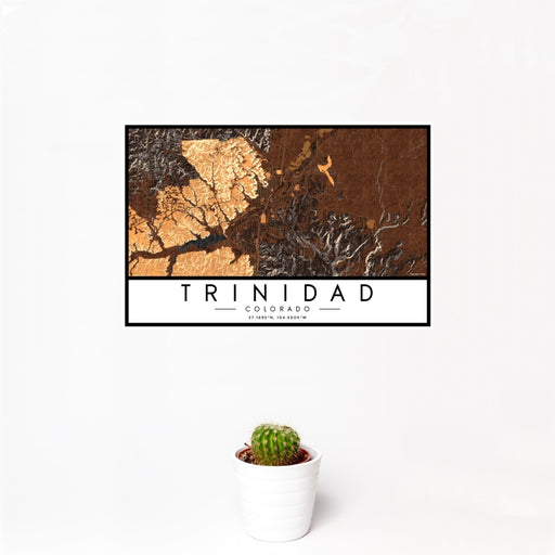 12x18 Trinidad Colorado Map Print Landscape Orientation in Ember Style With Small Cactus Plant in White Planter