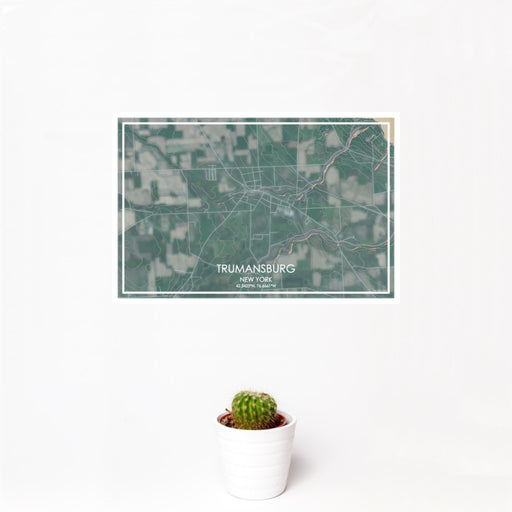 12x18 Trumansburg New York Map Print Landscape Orientation in Afternoon Style With Small Cactus Plant in White Planter