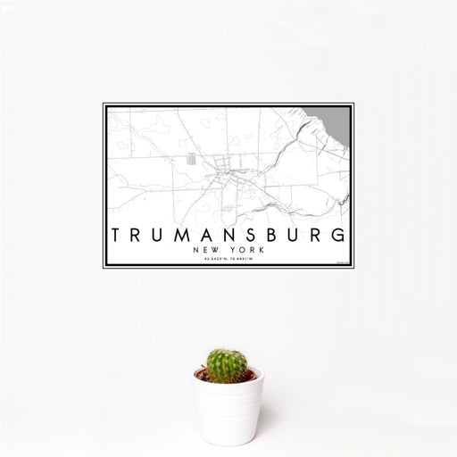 12x18 Trumansburg New York Map Print Landscape Orientation in Classic Style With Small Cactus Plant in White Planter