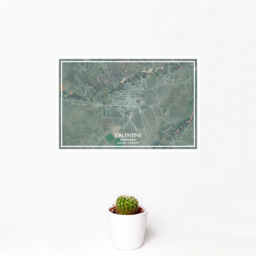 12x18 Valentine Nebraska Map Print Landscape Orientation in Afternoon Style With Small Cactus Plant in White Planter