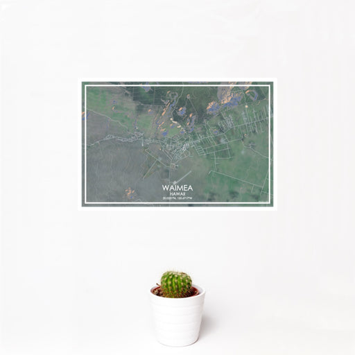 12x18 Waimea Hawaii Map Print Landscape Orientation in Afternoon Style With Small Cactus Plant in White Planter