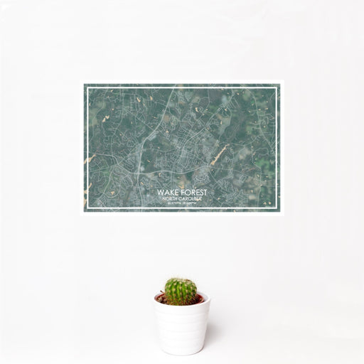 12x18 Wake Forest North Carolina Map Print Landscape Orientation in Afternoon Style With Small Cactus Plant in White Planter