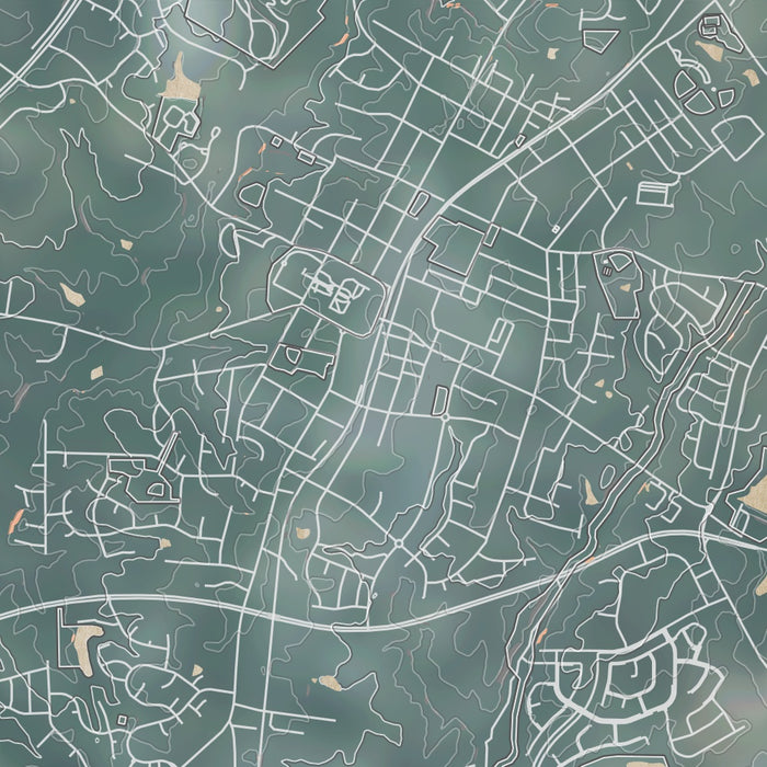 Wake Forest North Carolina Map Print in Afternoon Style Zoomed In Close Up Showing Details