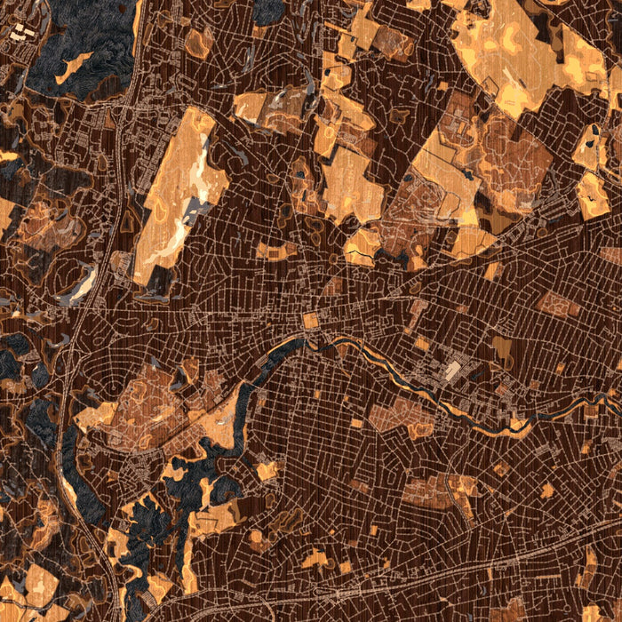 Waltham Massachusetts Map Print in Ember Style Zoomed In Close Up Showing Details