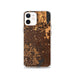 Custom Warren Ohio Map Phone Case in Ember