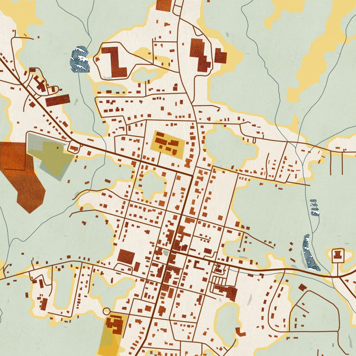 Warrenton North Carolina Map Print in Woodblock Style Zoomed In Close Up Showing Details
