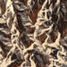 Wheeler Peak New Mexico Map Print in Ember Style Zoomed In Close Up Showing Details