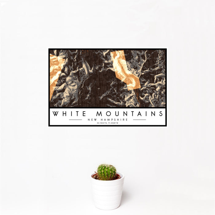 12x18 White Mountains New Hampshire Map Print Landscape Orientation in Ember Style With Small Cactus Plant in White Planter