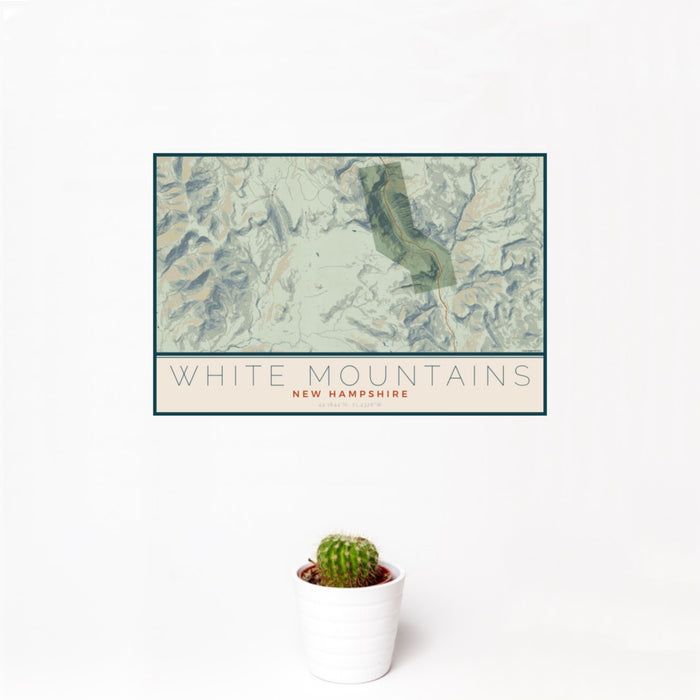 12x18 White Mountains New Hampshire Map Print Landscape Orientation in Woodblock Style With Small Cactus Plant in White Planter