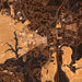 Williamsburg Virginia Map Print in Ember Style Zoomed In Close Up Showing Details