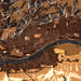 Williamsport Pennsylvania Map Print in Ember Style Zoomed In Close Up Showing Details