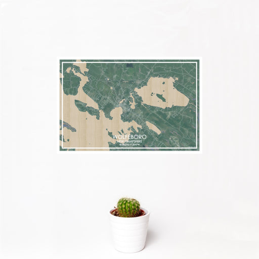12x18 Wolfeboro New Hampshire Map Print Landscape Orientation in Afternoon Style With Small Cactus Plant in White Planter