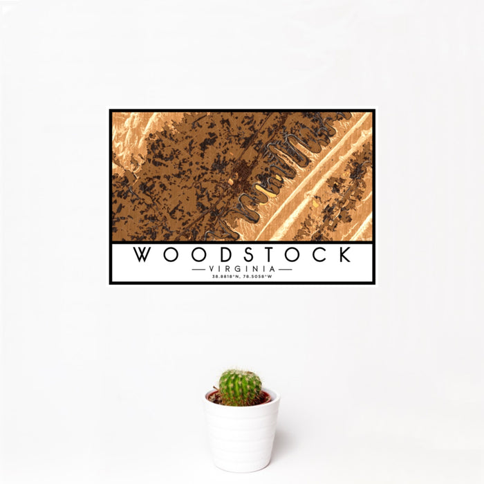 12x18 Woodstock Virginia Map Print Landscape Orientation in Ember Style With Small Cactus Plant in White Planter