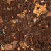 Worcester Massachusetts Map Print in Ember Style Zoomed In Close Up Showing Details