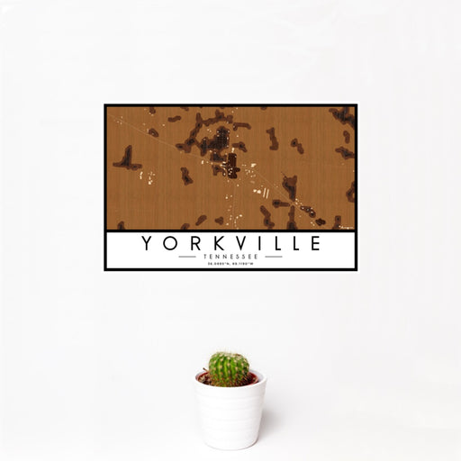 12x18 Yorkville Tennessee Map Print Landscape Orientation in Ember Style With Small Cactus Plant in White Planter
