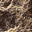 Yosemite National Park Map Print in Ember Style Zoomed In Close Up Showing Details