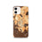 Custom Zion National Park Map iPhone 12 Phone Case in Ember